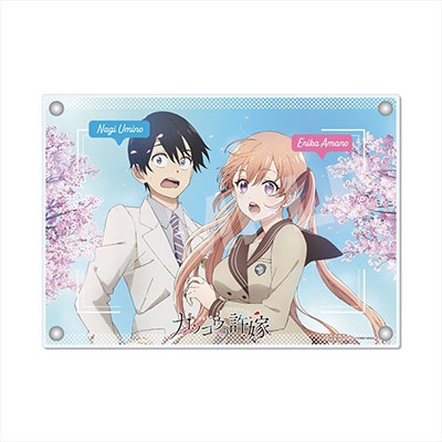 カッコウの許嫁 ゲーマーズ その他 BD/DVD 全巻購入特典 天野