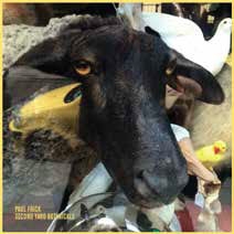 Second Yard Botanicals