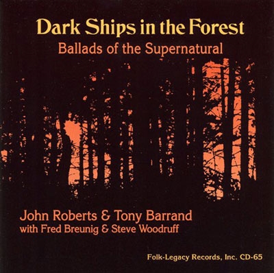 DARK SHIPS IN THE FOREST