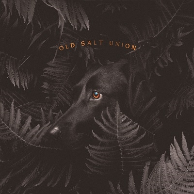 Old Salt Union/Where The Dogs Don't Bite[COMP47412]