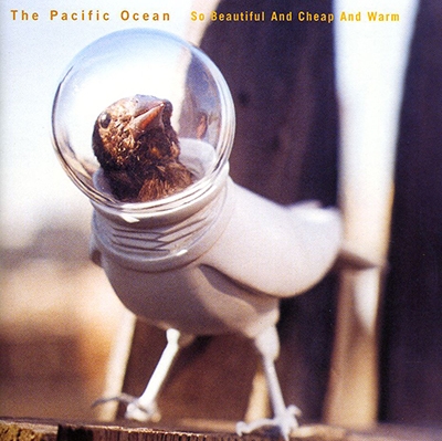 So Beautiful and Cheap and Warm * So Beautiful and Cheap and Warm *