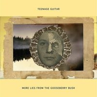 Teenage Guitar/More Lies from the Gooseberry Bush[FIRECD386]