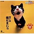 NHK 天才てれびくんワイド 天てれ猫だましぃ MTK The 5th NHK 天才てれびくんワイド 天てれ猫だましぃ MTK The 5th