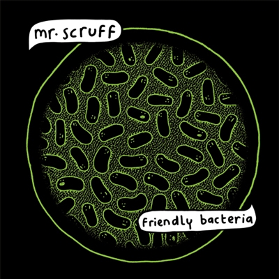 Friendly Bacteria Friendly Bacteria