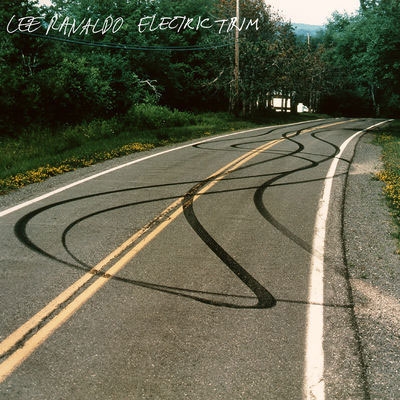 Lee Ranaldo/Electric Trim[STUMM403]