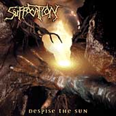 Despise The Sun