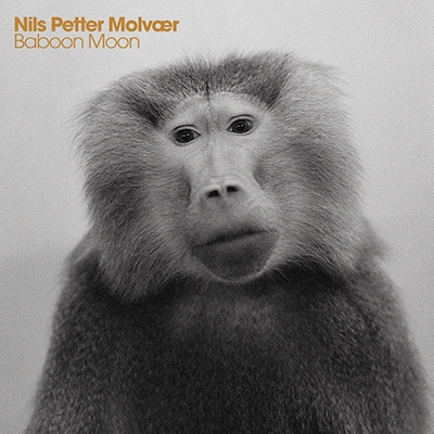 Baboon Moon Baboon Moon