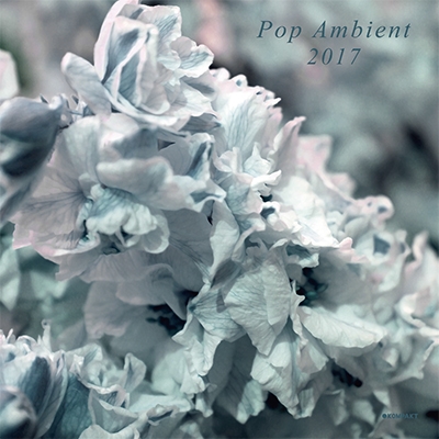 POP AMBIENT 2017