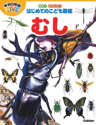 なぜ? どうして? はじめてのこども図鑑 むし なぜ? どうして? はじめてのこども図鑑 むし