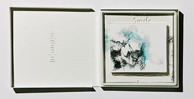 Smile ［CD+DVD+特製ブックレット+シングルジャケセット］＜Smile盤(初回限定・特製BOX仕様)＞