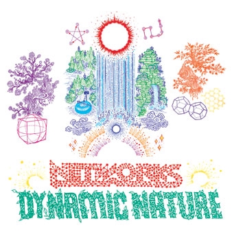 NETWORKS/Dynamic Nature[WNDU-012]