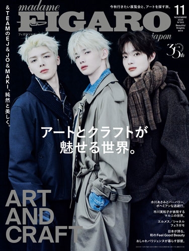 dショッピング |「madame FIGARO japon (フィガロ ジャポン) 11