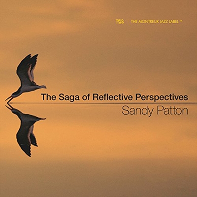The Saga of Reflective Perspectives The Saga of Reflective Perspectives