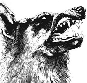 I, Vigilante I, Vigilante