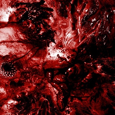 TOWER RECORDS ONLINE㤨Excrescence/Inescapable Anatomical Deterioration[NSE08001]פβǤʤ2,490ߤˤʤޤ