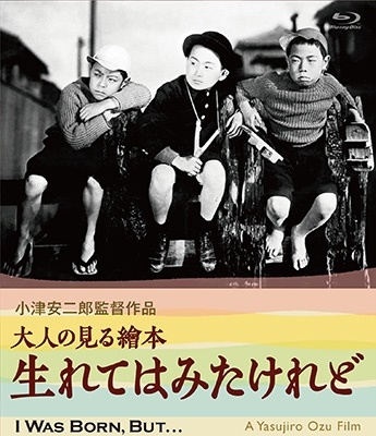 特別送料無料！】 フランス盤 FILMS 20 EN OZ BOX Blu-ray 小津安二郎 