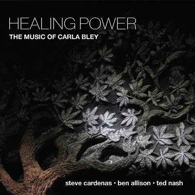 Steve Cardenas/Healing Power[SSC1664]