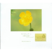 やすらぎコンサート～遥かなる道～Ｉｎｓｔｒｕｍｅｎｔａｌ