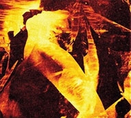 TOWER RECORDS ONLINE㤨Eyeless In Gaza/Sun Blues[ASR055]פβǤʤ2,090ߤˤʤޤ