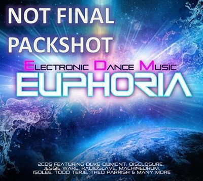 EDM Euphoria 2013