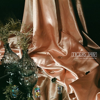 Tigers Jaw/I Won't Care How You Remember Me[HR28952]