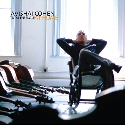 Avishai Cohen/At Home