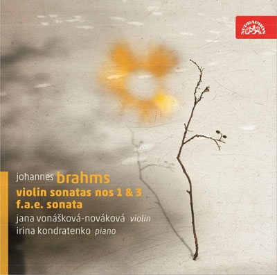 Brahms: Violin Sonatas No.1, No.3; Schumann & Brahms & A.Dietrich: F.A.E Sonata