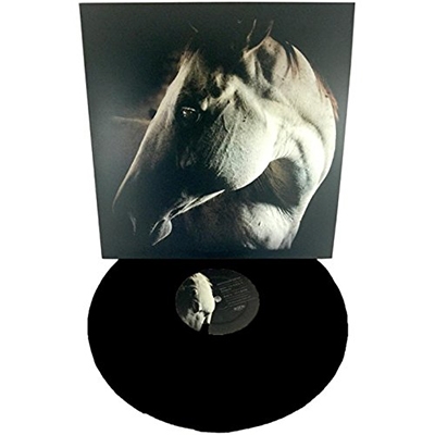 How to Kill a Horse How to Kill a Horse