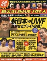 燃えろ! 新日本プロレス Vol.9 ［MAGAZINE+DVD］