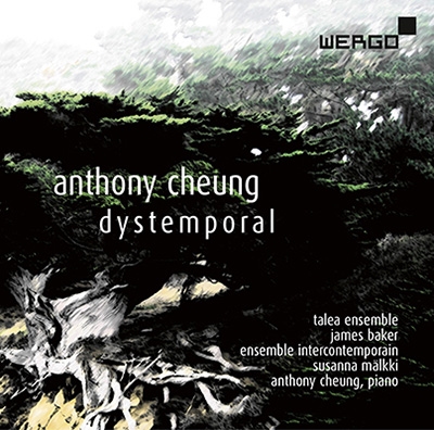 Anthony Cheung: Dystemporal Anthony Cheung: Dystemporal
