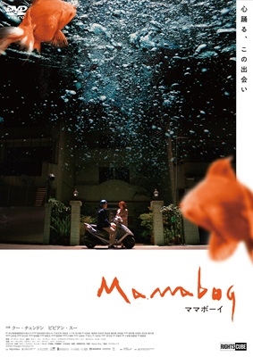 ママボーイ ママボーイ