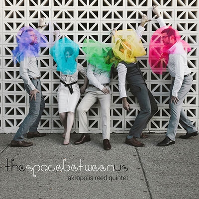 フェルドハウス/ビーデンベンダー/ディーマー/ワナメーカー/シュタインメッ ツ: 室内楽作品集 フェルドハウス/ビーデンベンダー/ディーマー/ワナメーカー/シュタインメッ ツ: 室内楽作品集