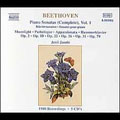 Beethoven: The Piano Sonatas Vol 1 / Jan？Jando