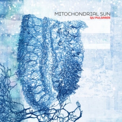 TOWER RECORDS ONLINE㤨Mitochondrial Sun/Sju PulsarerWhite Vinyl/ס[REX204LP]פβǤʤ5,990ߤˤʤޤ