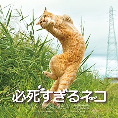 2022必死すぎるネコ カレンダー 2022必死すぎるネコ カレンダー