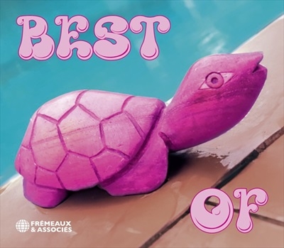 TOWER RECORDS ONLINE㤨Pink Turtle/Best Of[FA8609]פβǤʤ3,190ߤˤʤޤ