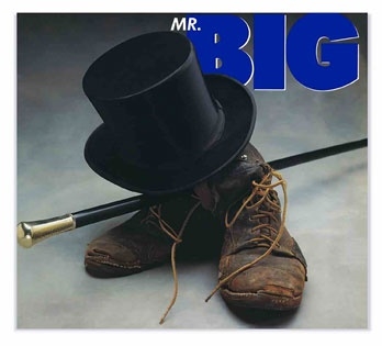 Mr. Big/Mr. Big (ܸ/饤ʡΡդ)[EVSA1771SJ]