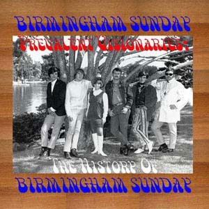 TOWER RECORDS ONLINE㤨Birmingham Sunday/Prevalent Visionaries The History Of Birmingham Sunday[95192]פβǤʤ3,490ߤˤʤޤ