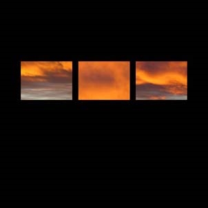 The Suncrows Fall And Tree The Suncrows Fall And Tree