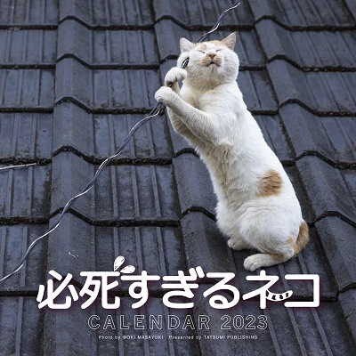 必死すぎるネコカレンダー 必死すぎるネコカレンダー
