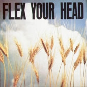 FLEX YOUR HEAD FLEX YOUR HEAD