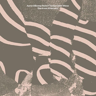 Electronic Extension Electronic Extension