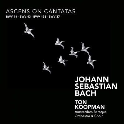 トン・コープマン/J.S.バッハ： 昇天祭カンタータ集 BWV.11, 128, 43, 37[CC72285]