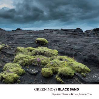 Green Moss Black Sand Green Moss Black Sand
