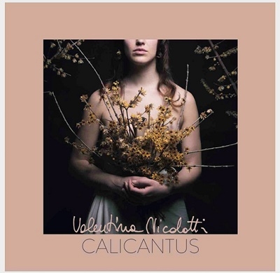Calicantus