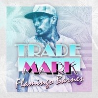 Flamingo Barnes Flamingo Barnes