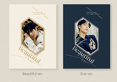 Lee Eun Sang/Beautiful Scar 1st Single (С)[L200002004]