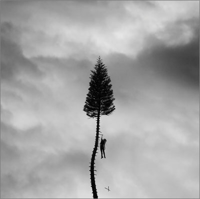 Manchester Orchestra/A Black Mile To The Surface[HSUY19594]