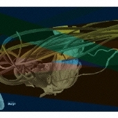 マジック & リターン