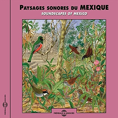 TOWER RECORDS ONLINE㤨Bernard Fort/Paysages Sonores Du Mexique Soundscapes Of Mexico[FA698]פβǤʤ2,690ߤˤʤޤ